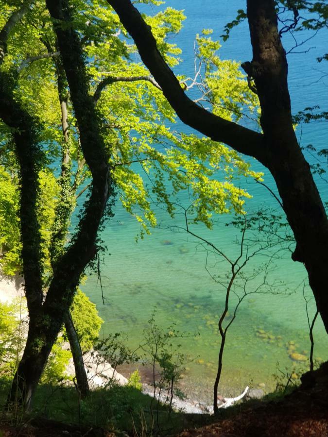 Villa Hubertus Am Nationalpark Sassnitz Εξωτερικό φωτογραφία
