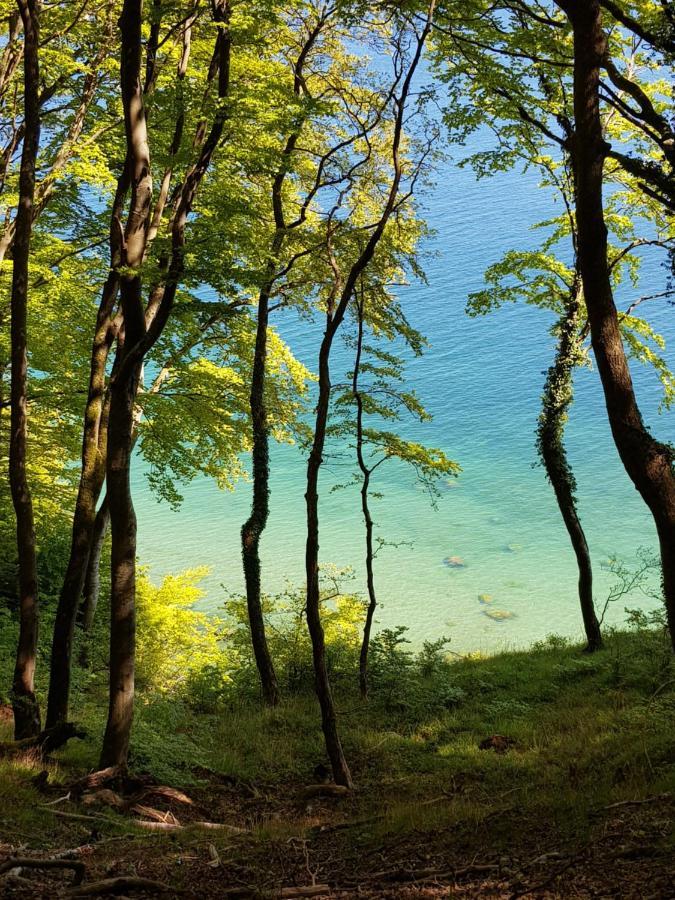 Villa Hubertus Am Nationalpark Sassnitz Εξωτερικό φωτογραφία